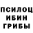 Галлюциногенные грибы прущие грибы Alexander Lies