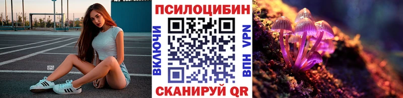 гидра онион  купить наркотики цена  Дальнегорск  Галлюциногенные грибы Psilocybine cubensis 